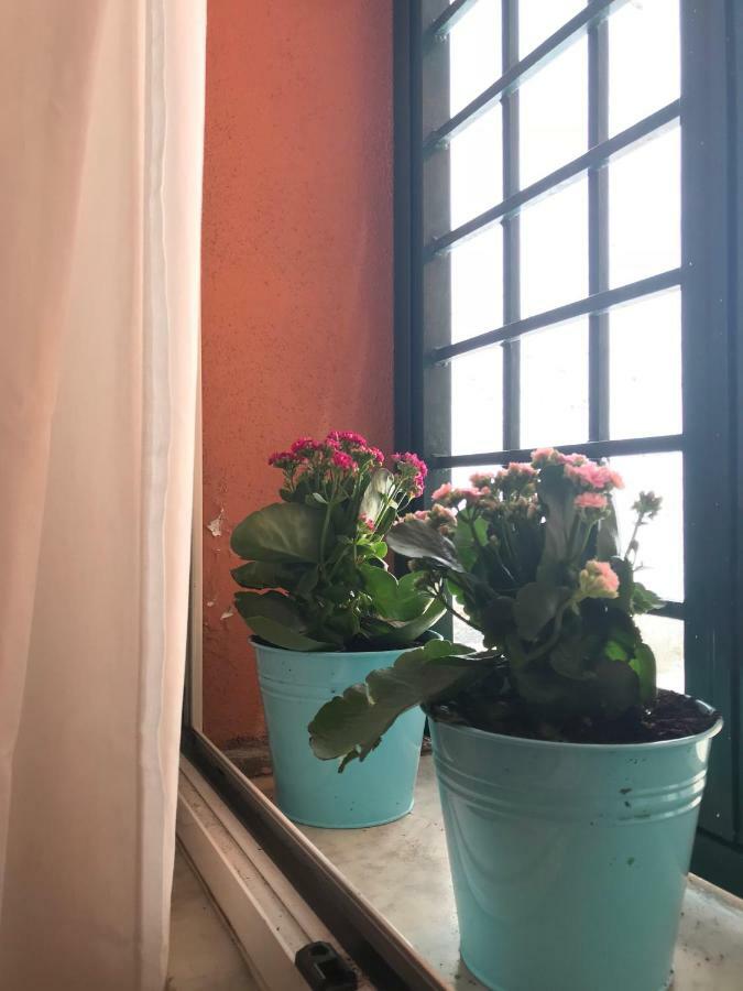 로마 La Casa Del Fotografo 아파트 외부 사진
